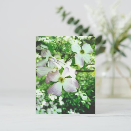 Spring Dogwood Briefkaart (Staand voorkant)