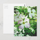 Spring Dogwood Briefkaart (Voorkant / Achterkant)