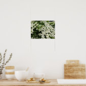 Spring Dogwoods in Marshall Bloom Poster (Keuken)