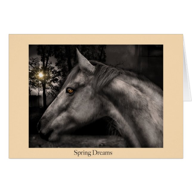 Spring Dreams (Voorkant Horizontaal)