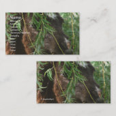 Spring Dreams Mini en Willow Tree Visitekaartje (Voorkant / Achterkant)