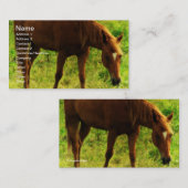 Spring Dreams, Sorrel Eating Grass Visitekaartje (Voorkant / Achterkant)