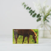 Spring Dreams, Sorrel Eating Grass Visitekaartje (Staand voorkant)