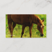 Spring Dreams, Sorrel Eating Grass Visitekaartje (Achterkant)