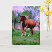 Spring Dreams, Sorrel Trotting, Birthday Kaart (Gele Bloem)