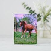 Spring Dreams, Sorrel Trotting Briefkaart (Staand voorkant)
