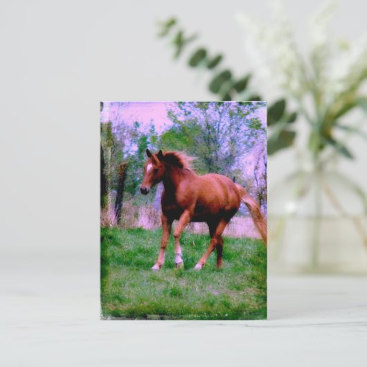 Spring Dreams, Sorrel Trotting Briefkaart (Staand voorkant)
