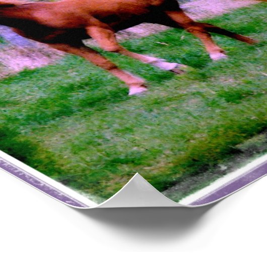 Spring Dreams, Sorrel Trotting Poster (Hoek)