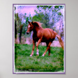 Spring Dreams, Sorrel Trotting Poster