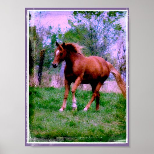 Spring Dreams, Sorrel Trotting Poster (Voorkant)