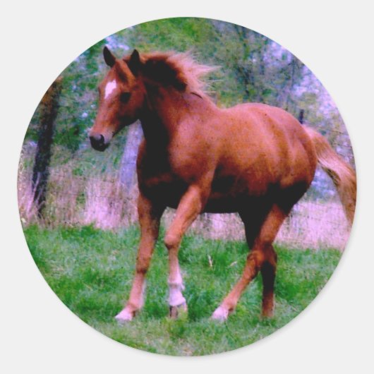Spring Dreams, Sorrel Trotting Ronde Sticker (Voorkant)