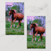 Spring Dreams, Sorrel Trotting Visitekaartje (Voorkant / Achterkant)
