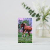 Spring Dreams, Sorrel Trotting Visitekaartje (Staand voorkant)