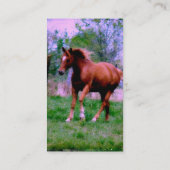Spring Dreams, Sorrel Trotting Visitekaartje (Achterkant)