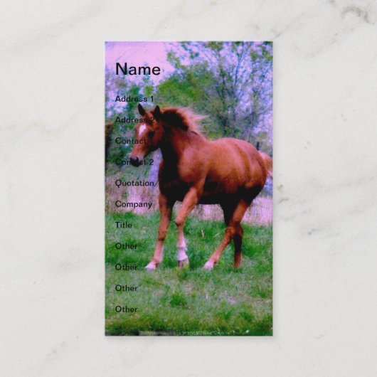 Spring Dreams, Sorrel Trotting Visitekaartje (Voorkant)