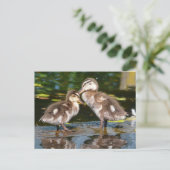 Spring Duckies Briefkaart (Staand voorkant)