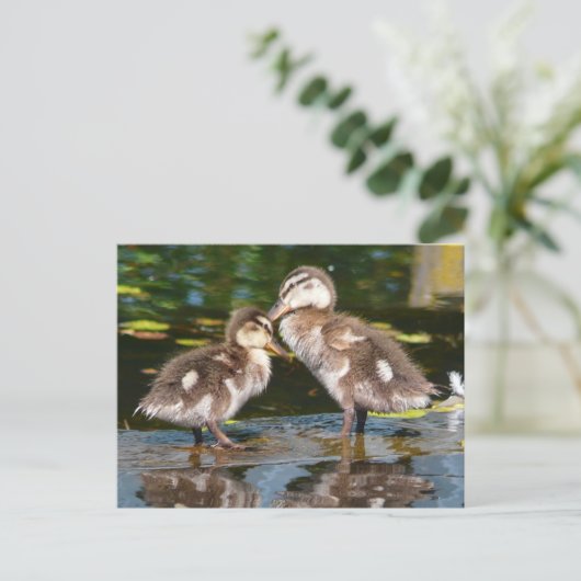 Spring Duckies Briefkaart (Staand voorkant)