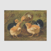 Spring Easter Chicks Decoupage Decoupaging Rustic Tissuepapier (Voorkant)