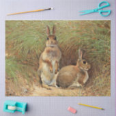 Spring Easter Rabbits ontkoppeling Rustic Tissuepapier (Craft)