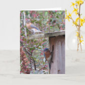 Spring Eastern Bluebirds Kaart (Gele Bloem)