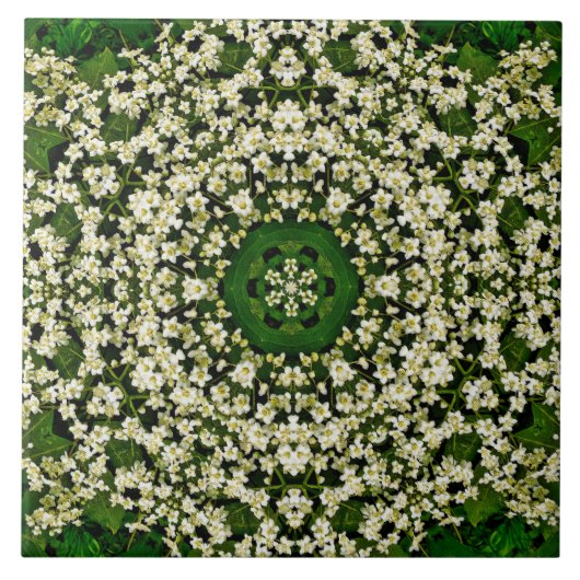 Spring Elderberry Flowers Keramische Tegel Tegeltje (Voorkant)