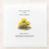 Spring Ephemerals of Japan – Amur Adonis Glazen Onderzetter (Voorkant)