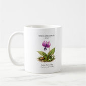Spring Ephemerals of Japan – Asian Fawn Lily Koffiemok (Links)
