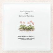 Spring Ephemerals of Japan – Japanese Hepatica Glazen Onderzetter (Voorkant)