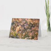 Spring Equinox Baby Deer Fawn Wildlife in Flowers Kaart (Voorkant)