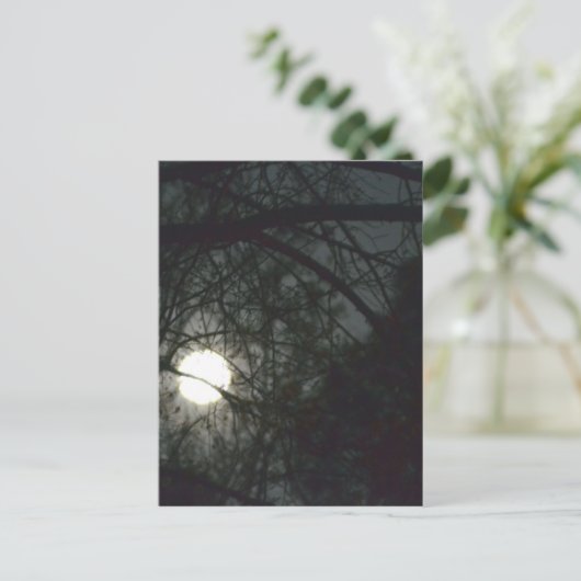 Spring Equinox Full Moon Briefkaart (Staand voorkant)