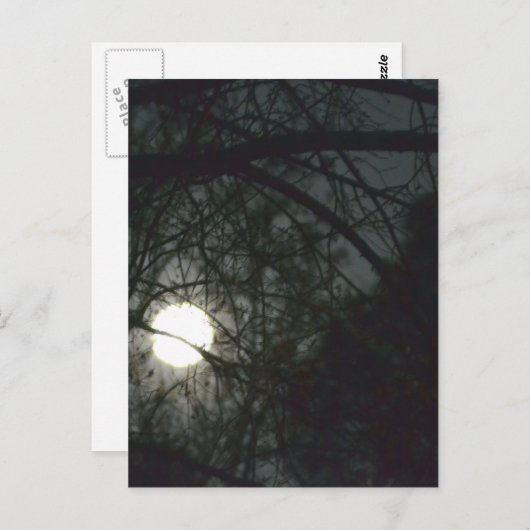 Spring Equinox Full Moon Briefkaart (Voorkant / Achterkant)