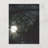 Spring Equinox Full Moon Briefkaart (Voorkant)