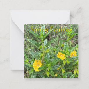 Spring Equinox Monkeyflowers Notitiekaartje