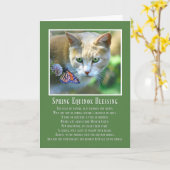 Spring Equinox Ostara Cat en Butterfly Kaart (Gele Bloem)