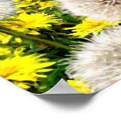 Spring Fairy Poster (Hoek)