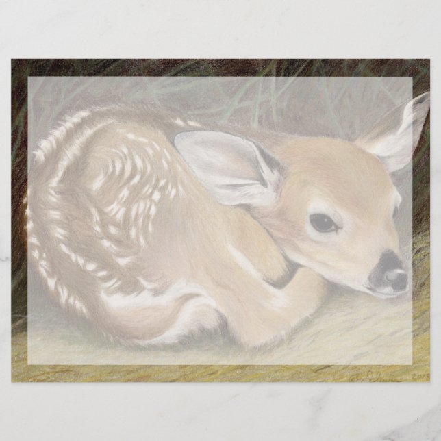 Spring Fawn (Voorkant)
