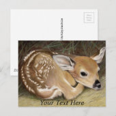 Spring Fawn Briefkaart (Voorkant / Achterkant)