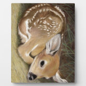 Spring Fawn Fotoplaat (Voorkant)