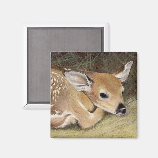 Spring Fawn Magneet (Voorkant / Achterkant)