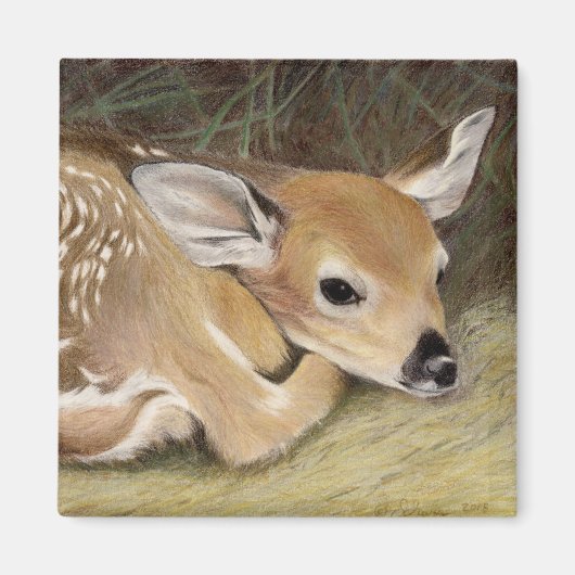 Spring Fawn Magneet (Voorkant)