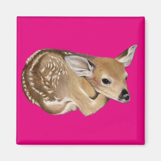 Spring Fawn Magneet (Voorkant)