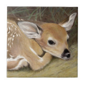 Spring Fawn Tegeltje (Voorkant)