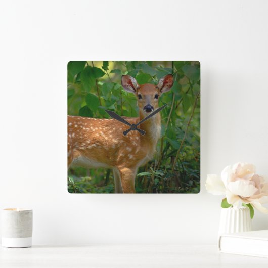 "Spring Fawn" Vierkante Klok (Huis)
