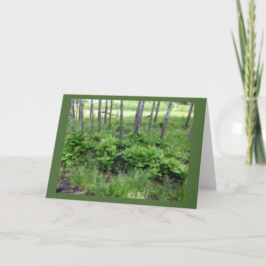 Spring Ferns in Wisconsin Blank Note Kaart (Voorkant)