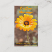 Spring Flash African Daisy Photo Appointment Card Afsprakenkaartje (Voorkant)
