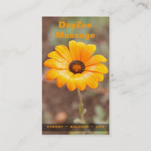 Spring Flash African Daisy Photo Appointment Card Afsprakenkaartje (Voorkant)