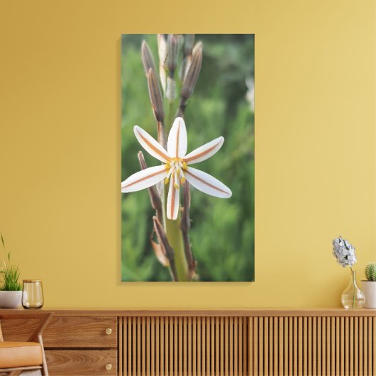 Spring flora South Africa Canvas Print (Insitu (Woonkamer))