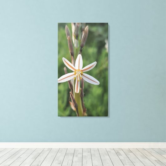 Spring flora South Africa Canvas Print (Insitu (Houten vloer))