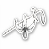 Spring Floral | Columbia Lily | Botanische Sticker (Voorkant)