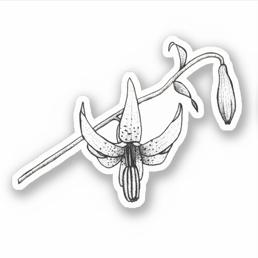 Spring Floral | Columbia Lily | Botanische Sticker (Voorkant)